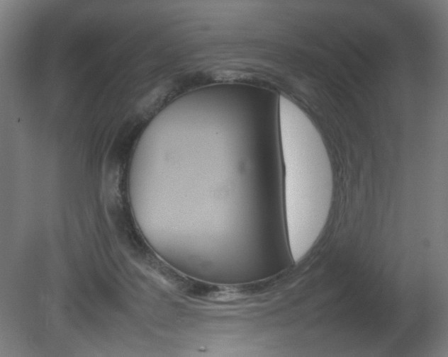 X0000082140219200701191006