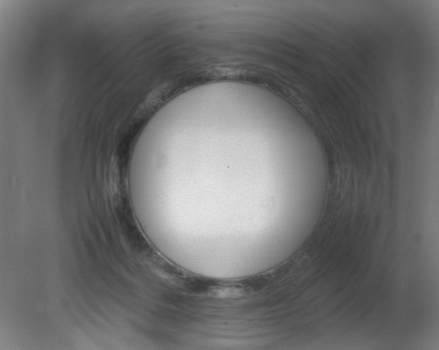 X0000082140220200701191006