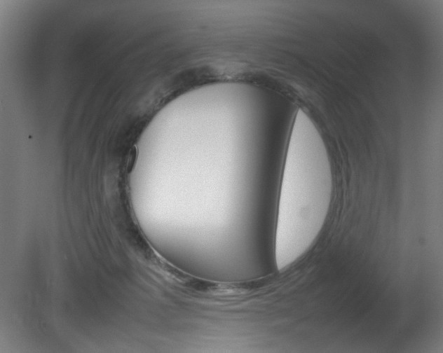 X0000082140221200701191006