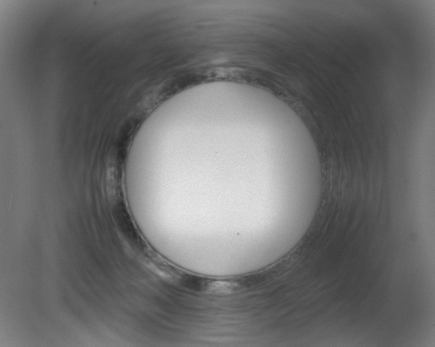 X0000082140222200701191006
