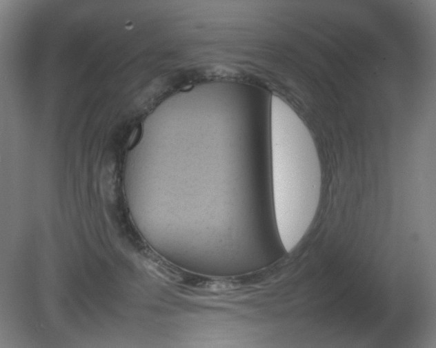 X0000082140223200701191006