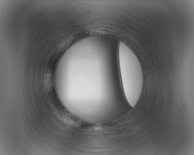 X0000082140224200701191006