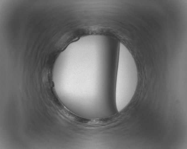 X0000082140225200701191006