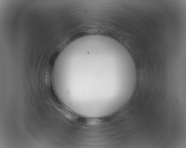 X0000082140226200701191006