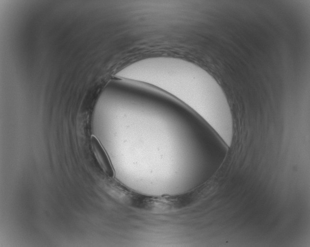 X0000082140229200701191006