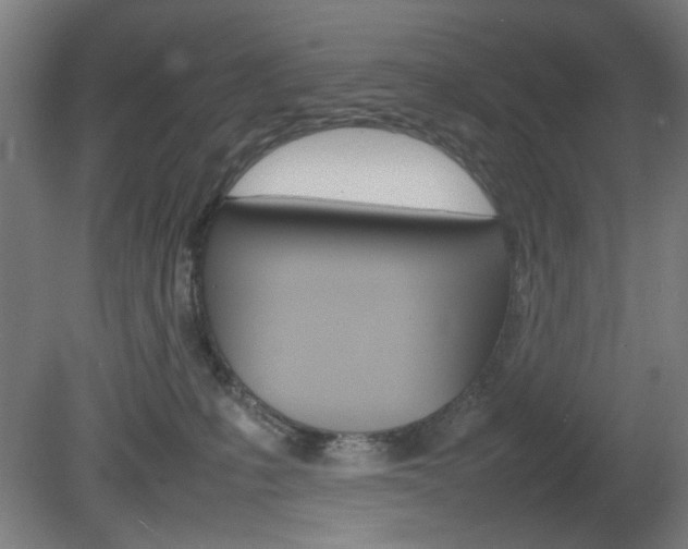 X0000082140231200701191006