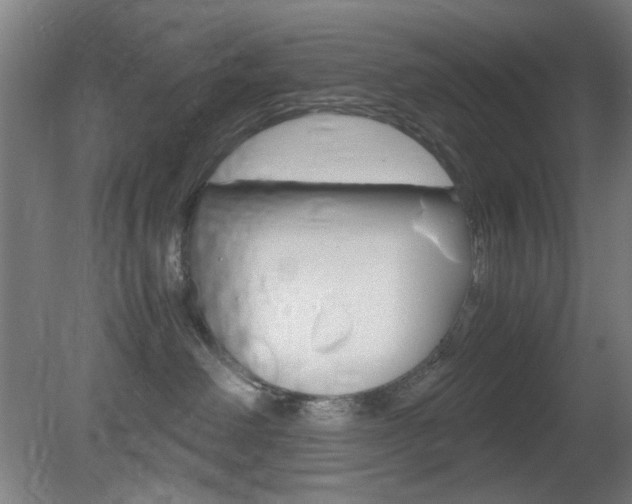 X0000082140238200701191006