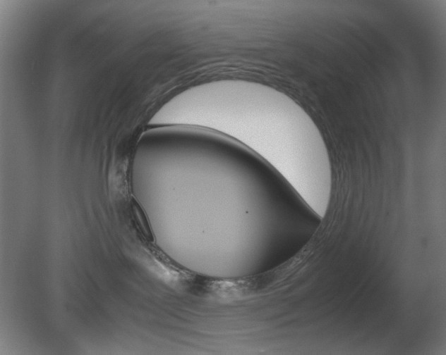 X0000082140239200701191006