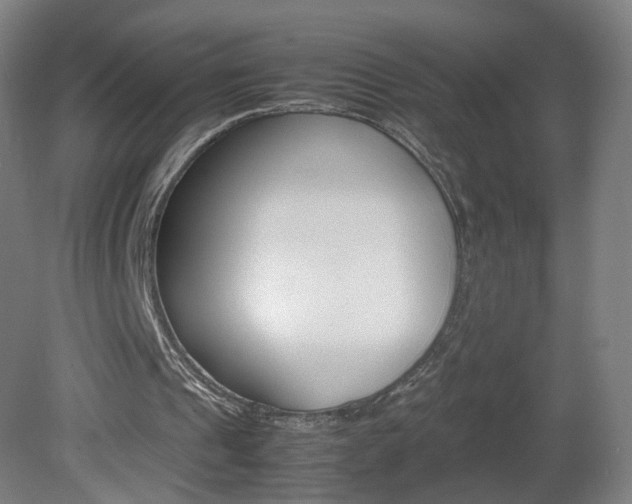 X0000082140241200701191005