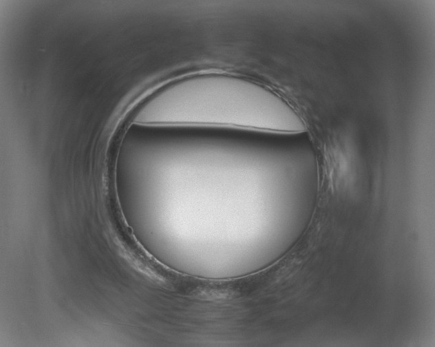 X0000082140247200701191005