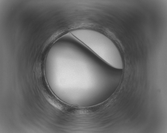 X0000082140250200701191005