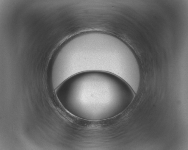 X0000082140252200701191005