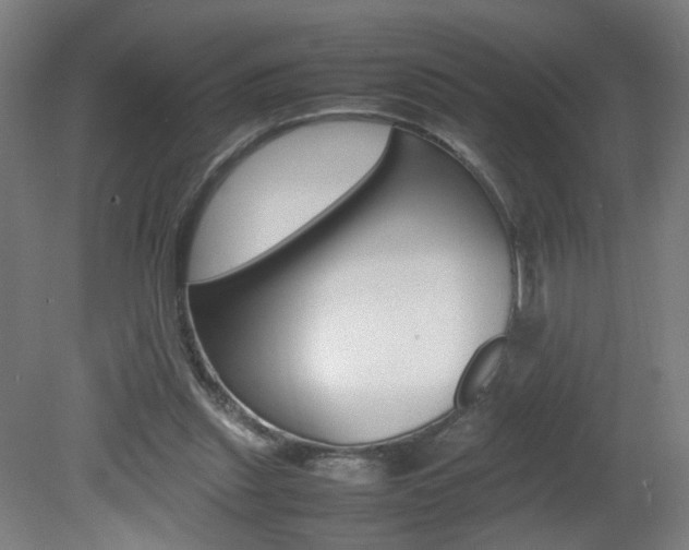 X0000082140253200701191005