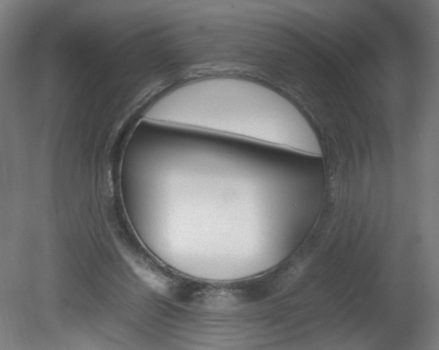 X0000082140254200701191005