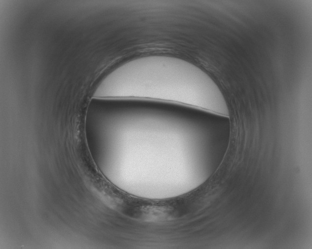 X0000082140255200701191005