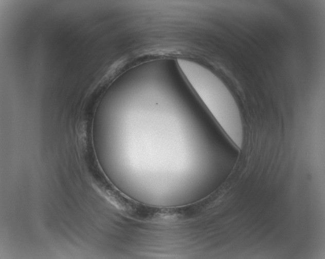 X0000082140260200701191005
