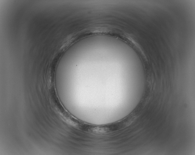 X0000082140261200701191005