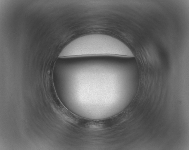X0000082140263200701191005