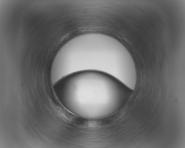 X0000082140264200701191005