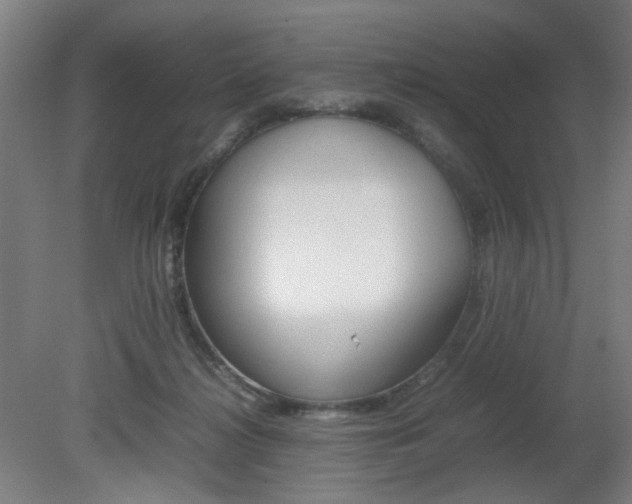 X0000082140268200701191005