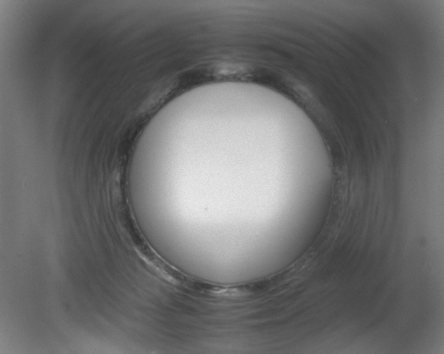 X0000082140269200701191005