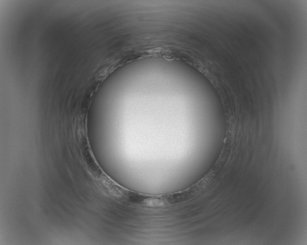 X0000082140272200701191005