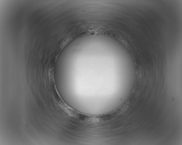 X0000082140276200701191005