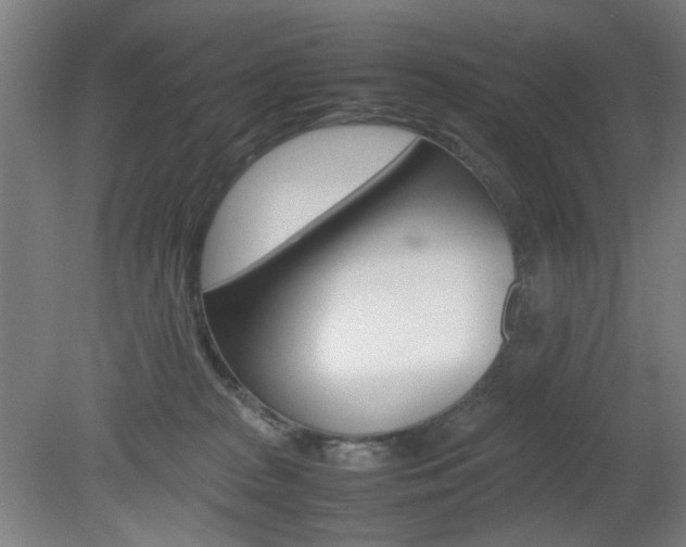 X0000082140277200701191005