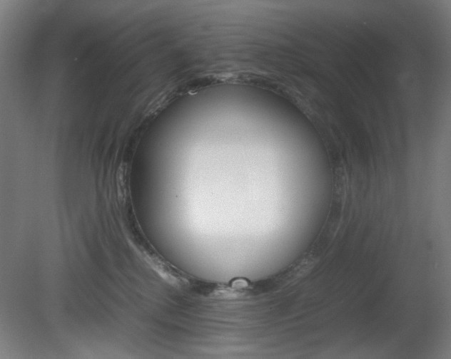 X0000082140280200701191005