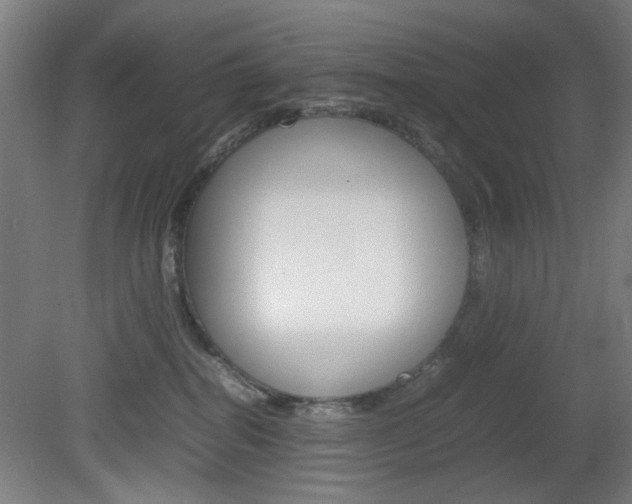 X0000082140282200701191006