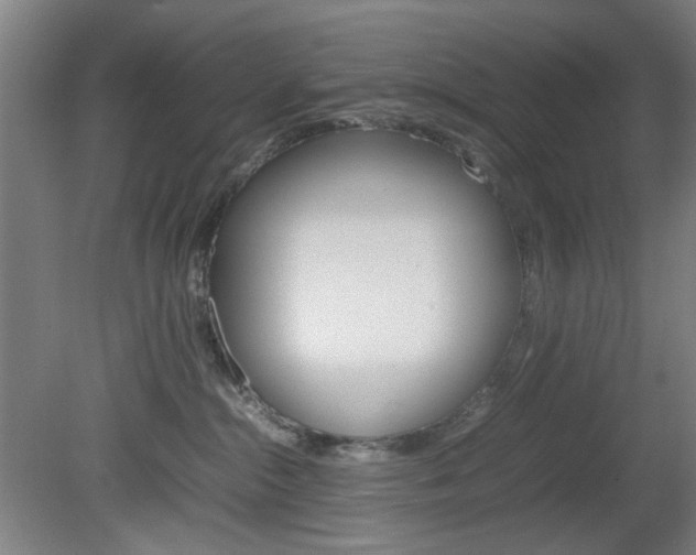 X0000082140284200701191006