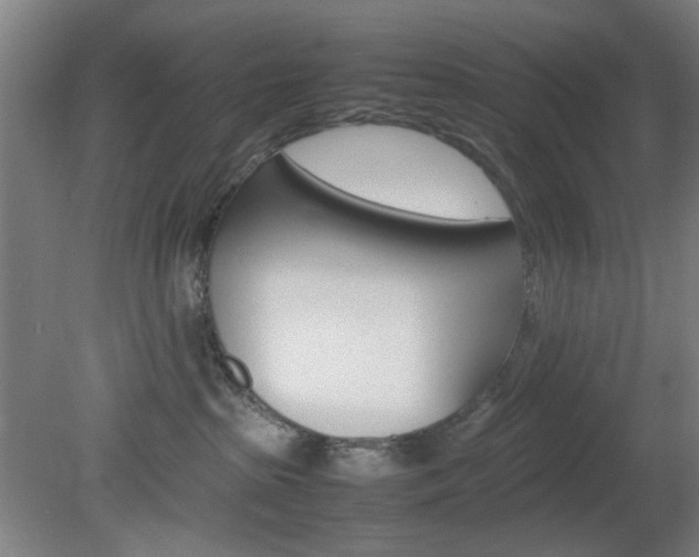 X0000082140285200701191006