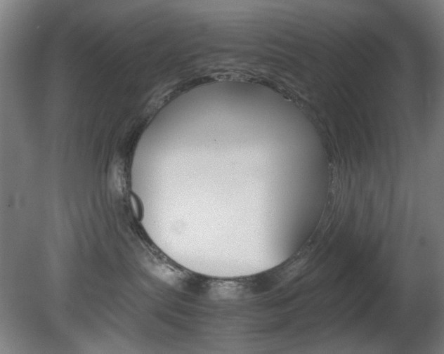 X0000082140287200701191006