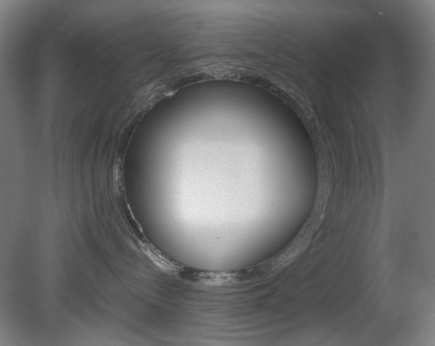 X0000082140288200701191006