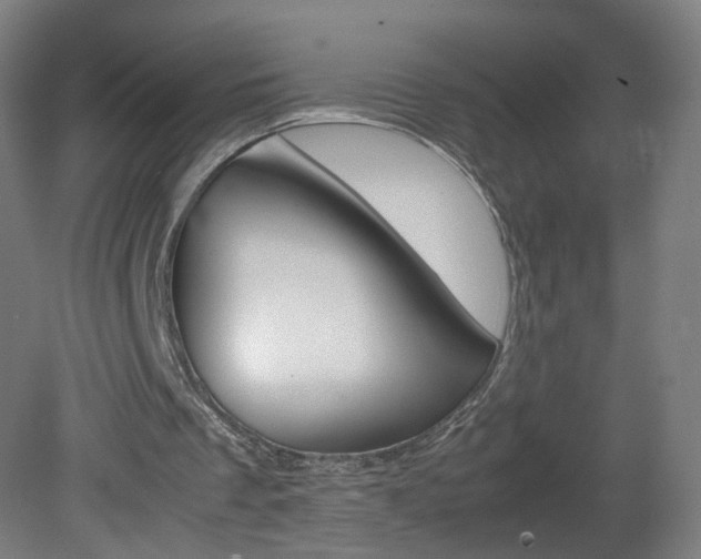 X0000082140289200701191005