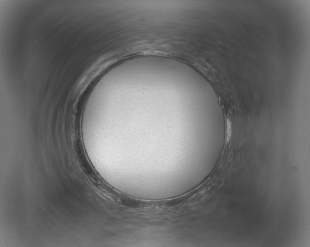 X0000082140291200701191005