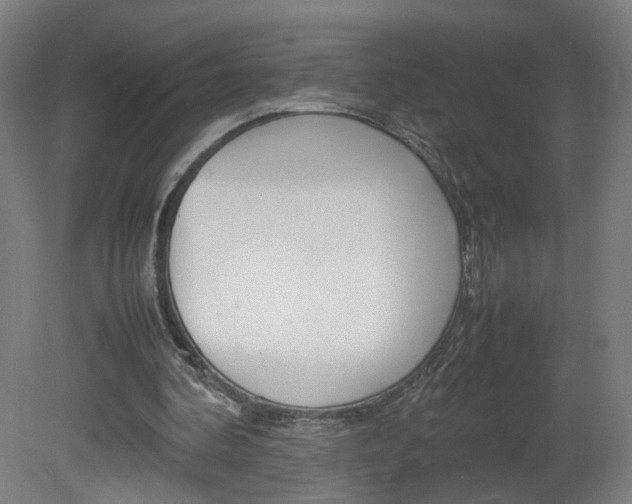 X0000082140292200701191005
