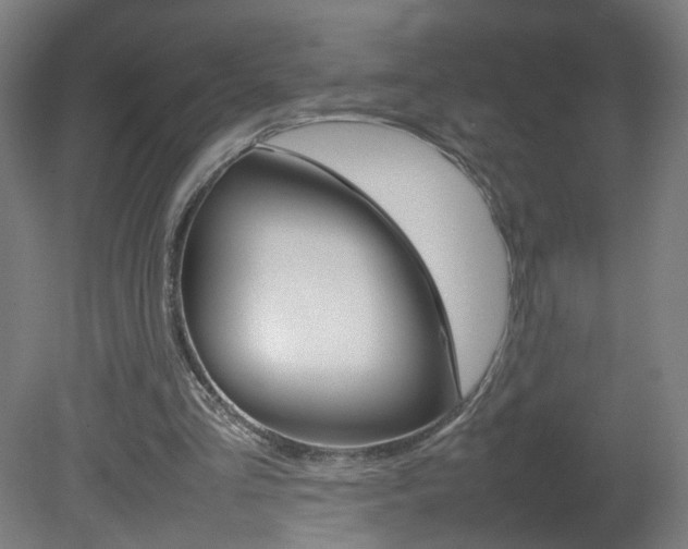 X0000082140293200701191005