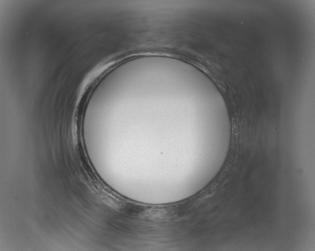 X0000082140294200701191005