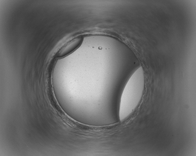 X0000082140295200701191005