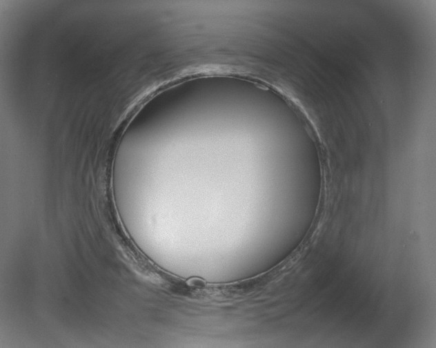 X0000082140297200701191005