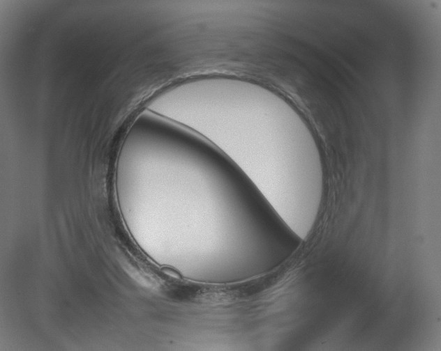 X0000082140299200701191005