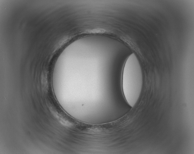 X0000082140300200701191005