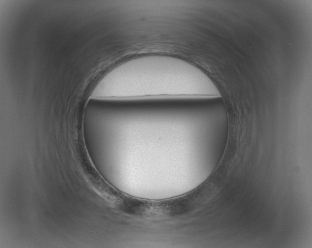 X0000082140303200701191005