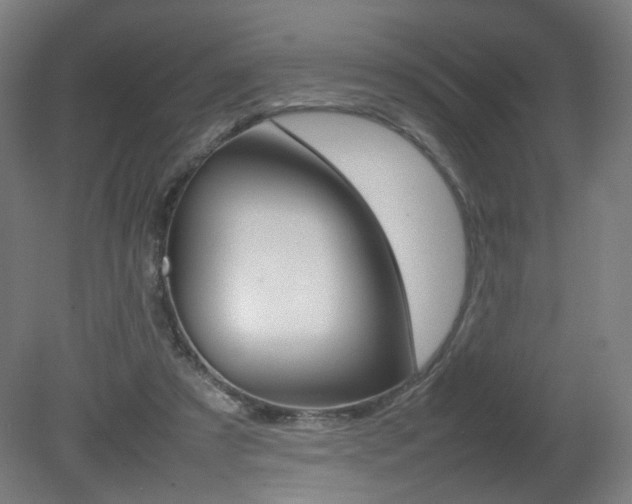 X0000082140305200701191005