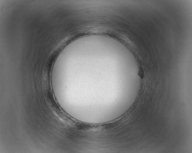X0000082140306200701191005