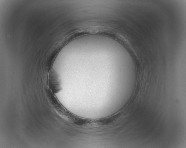 X0000082140307200701191005