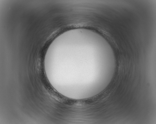 X0000082140308200701191004