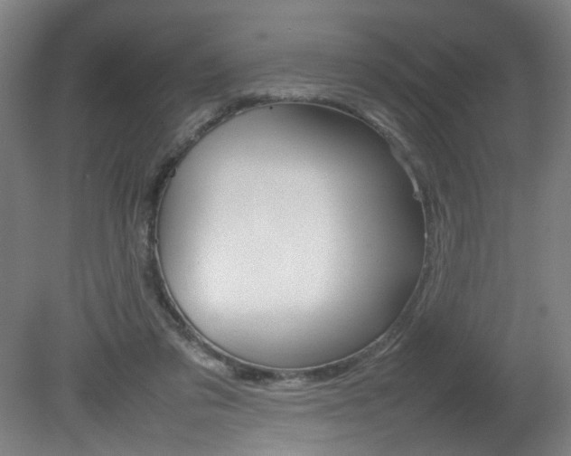 X0000082140309200701191004