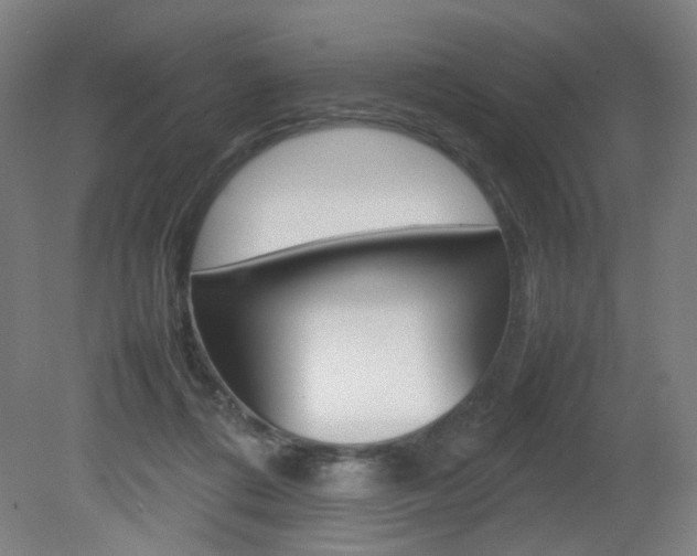 X0000082140312200701191004